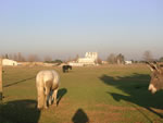 Paddocks